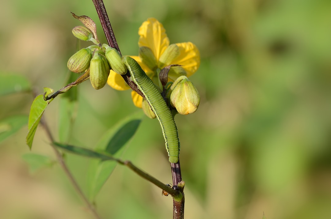 découvrez les meilleures options d'assurance pour votre micro-entreprise. protégez votre activité avec des solutions adaptées à vos besoins spécifiques, tout en garantissant votre sécurité financière et votre tranquillité d'esprit.
